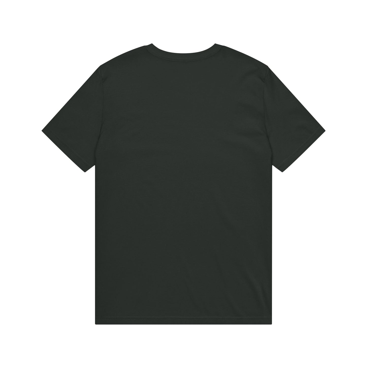 No Kings Anti-Trump Protest T-Shirt — Political Activist Tee